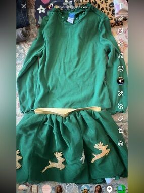 Old Navy Green Holiday skirt and shirt set with Gold Reindeer Trim
Worn once